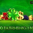 100 Burning Hot Demo Slot 