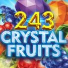 243 Crystal Fruits 
