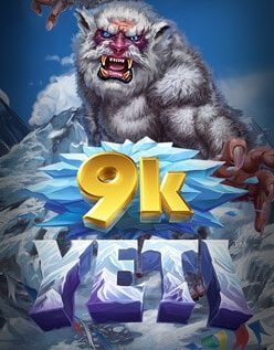 9k Yeti 