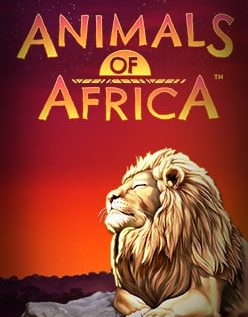 Animals of Africa 