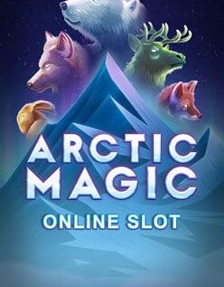 Arctic Magic 