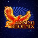Arising Phoenix 