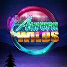 Aurora Wilds 