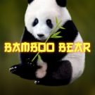 Bamboo Bear 