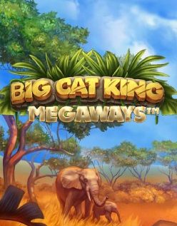 Big Cat King Megaways 