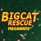 Big Cat Rescue MegaWays 