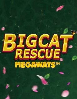 Big Cat Rescue MegaWays 