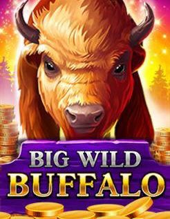 Big Wild Buffalo 