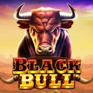 Black Bull 