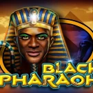 Black Pharaoh Demo Slot 