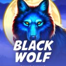 Black Wolf 
