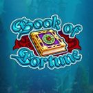 Book of Fortune 