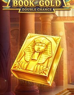 Book of Gold: Double Chance 