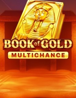 Book of Gold Multichance 