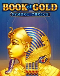 Book of Gold: Symbol Choice 