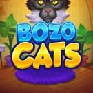 Bozo Cats 