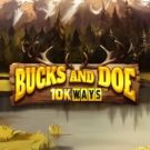 Bucks And Doe 10K Ways 