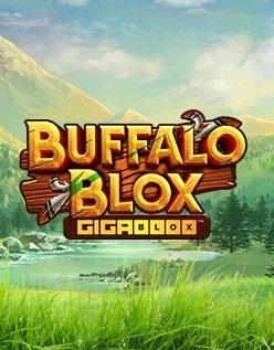 Buffalo Blox Gigablox 
