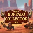 Buffalo Collector 