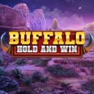 Buffalo Hold and Win 