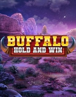 Buffalo Hold and Win 