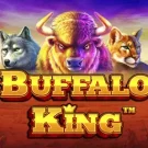 Buffalo King 