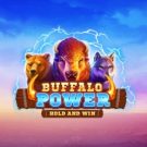 Buffalo Power 