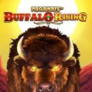 Buffalo Rising 