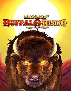 Buffalo Rising 
