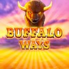 Buffalo Ways 
