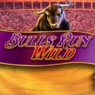 Bulls Run Wild 