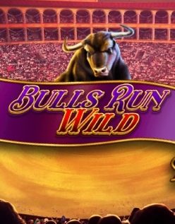 Bulls Run Wild 
