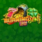 Burning Slots 20 