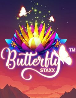 Butterfly Staxx 