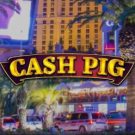 Cash Pig 