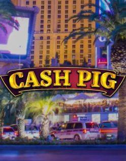 Cash Pig 