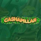 Cashapillar 