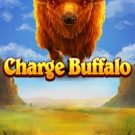 Charge Buffalo 