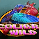 Colibri Wild Demo Slot 
