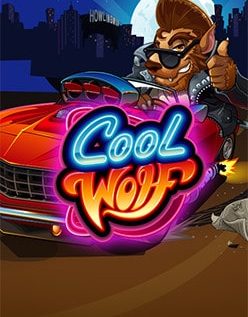 Cool Wolf 