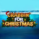 Crabbin for Christmas 