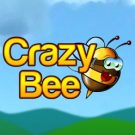 Crazy Bee 