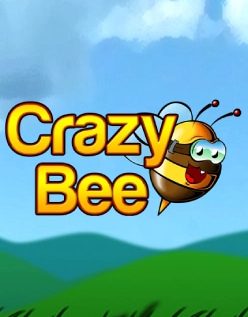 Crazy Bee 