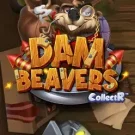 Dam Beavers 