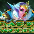 Dark Woods Demo Slot 