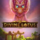 Divine Lotus 