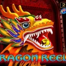 Dragon Reels Demo Slot 