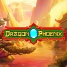 Dragon vs Phoenix 