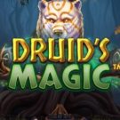 Druid’s Magic 