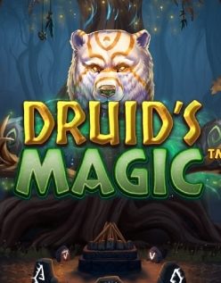 Druid’s Magic 